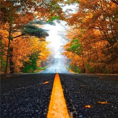 AG官方平台下载地址截图